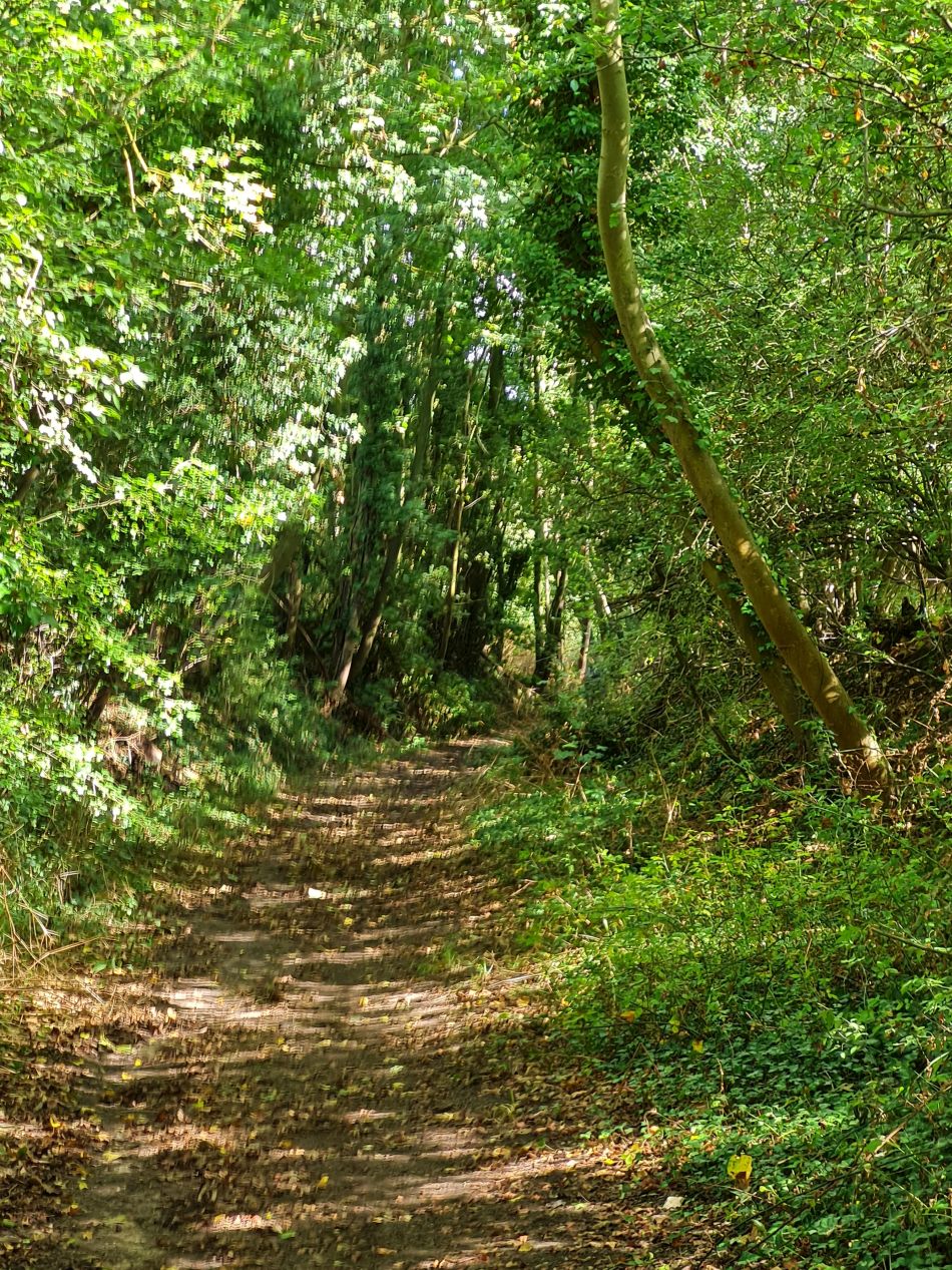 2022-09-11 31 Framlingham.jpg