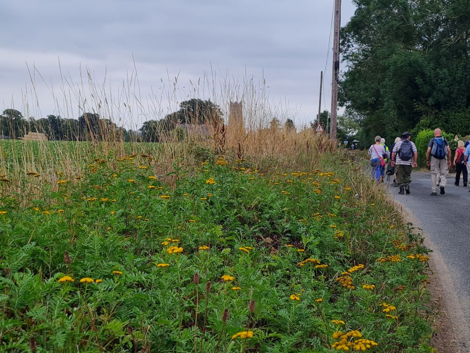 2022-09-06 03 GY at Halvergate.jpg