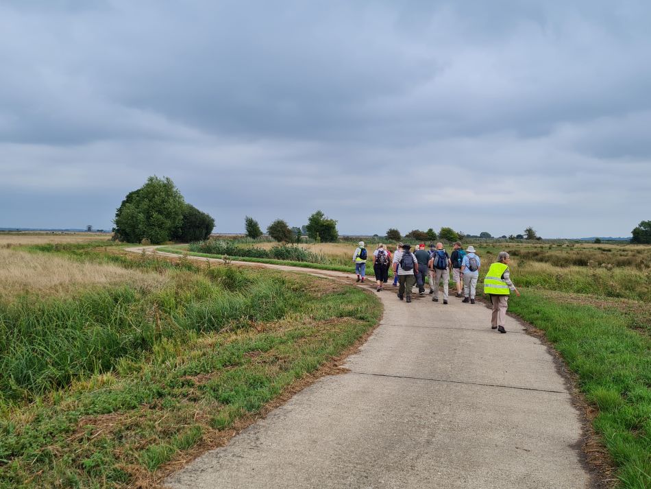 2022-09-06 09 GY at Halvergate.jpg