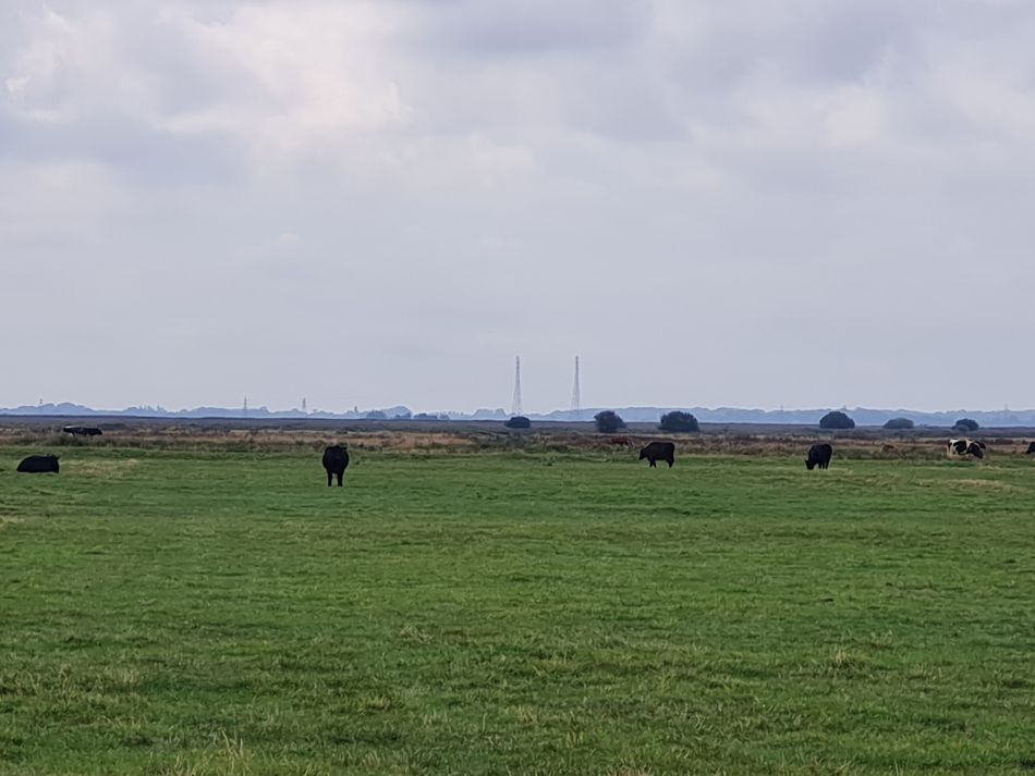 2022-09-06 12 GY at Halvergate.jpg