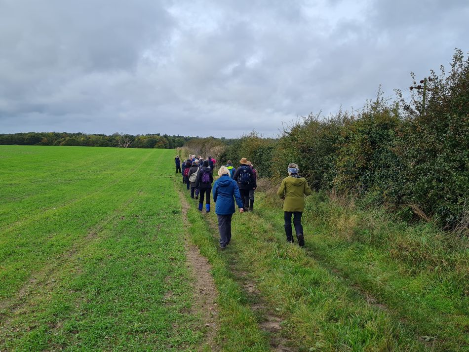 2023-11-01 03 Ringsfield Area.jpg