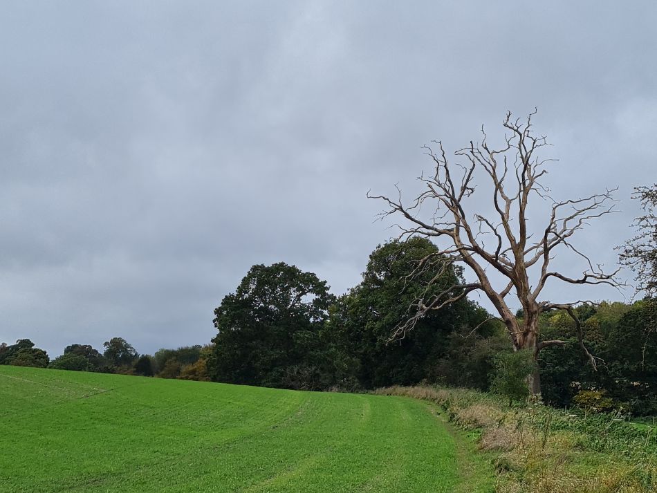 2023-11-01 06 Ringsfield Area.jpg