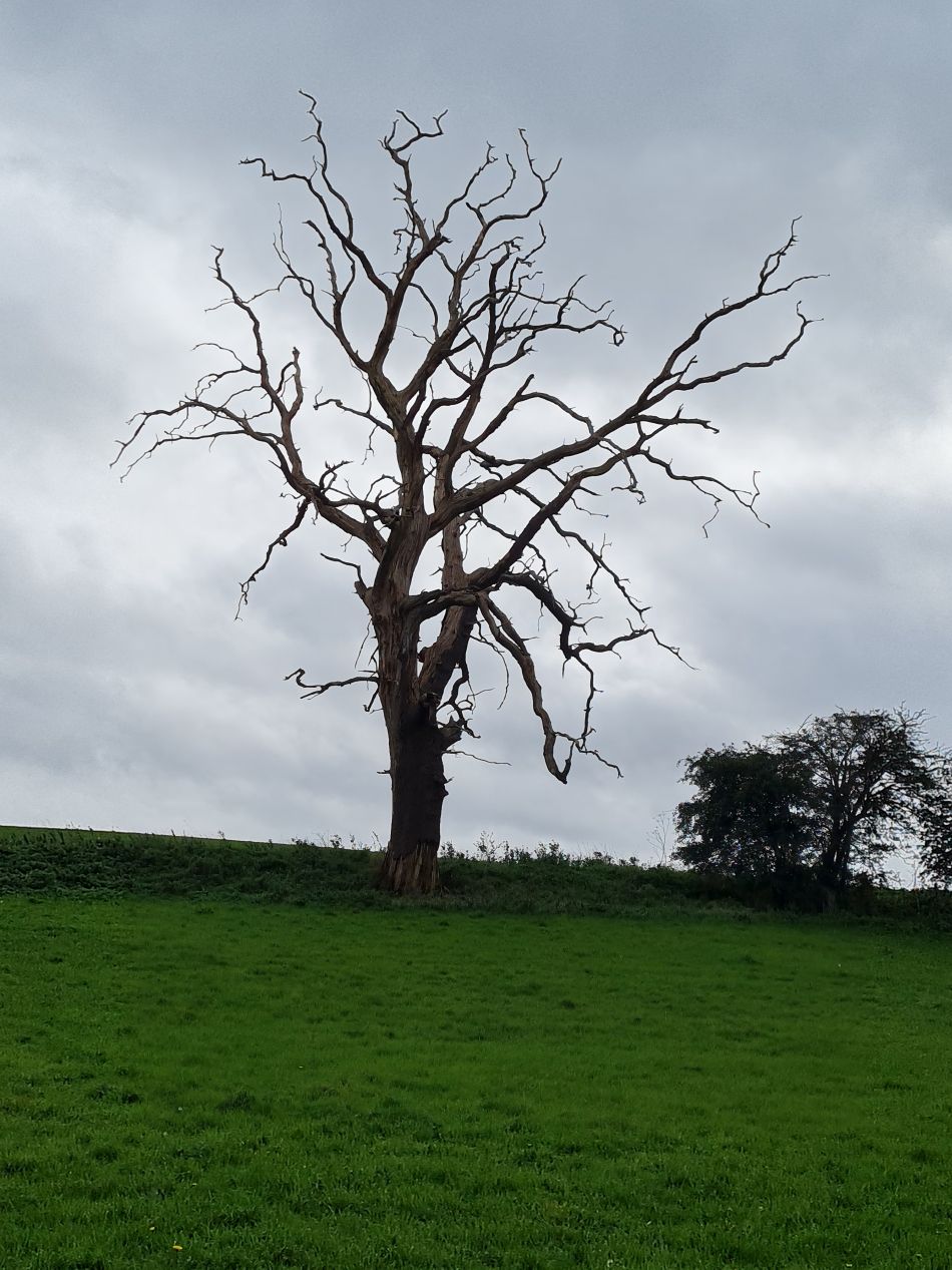 2023-11-01 07 Ringsfield Area.jpg