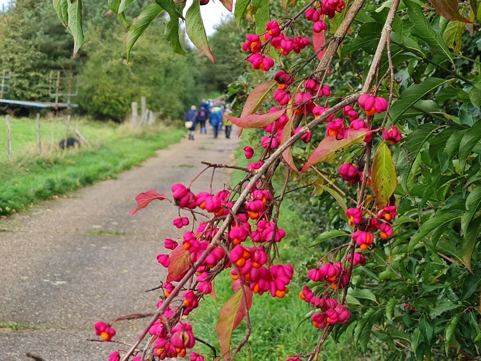 2023-11-01 08 Ringsfield Area.jpg