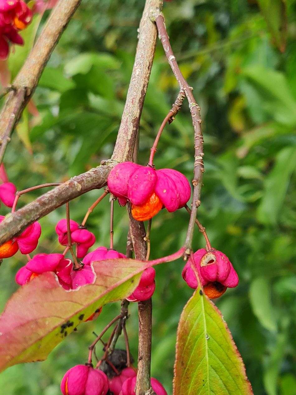 2023-11-01 09 Ringsfield Area.jpg