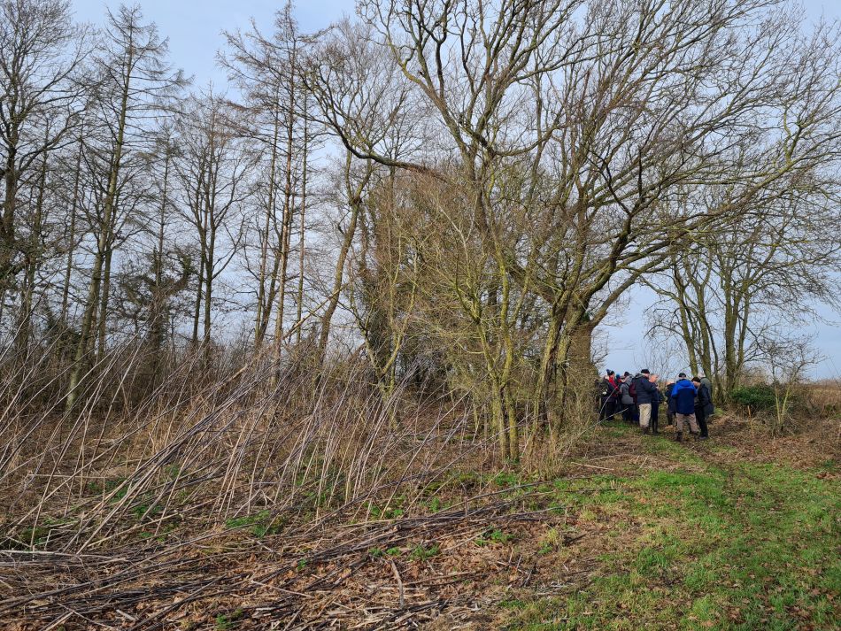 2024-01-24 47 Ringsfield and Weston.jpg