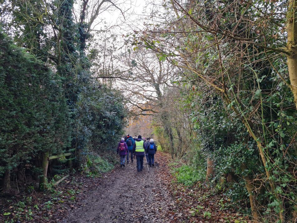 2023-12-14 02 Surlingham and Rockland.jpg