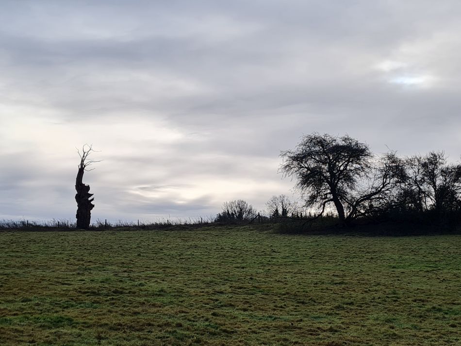 2023-12-14 04 Surlingham and Rockland.jpg