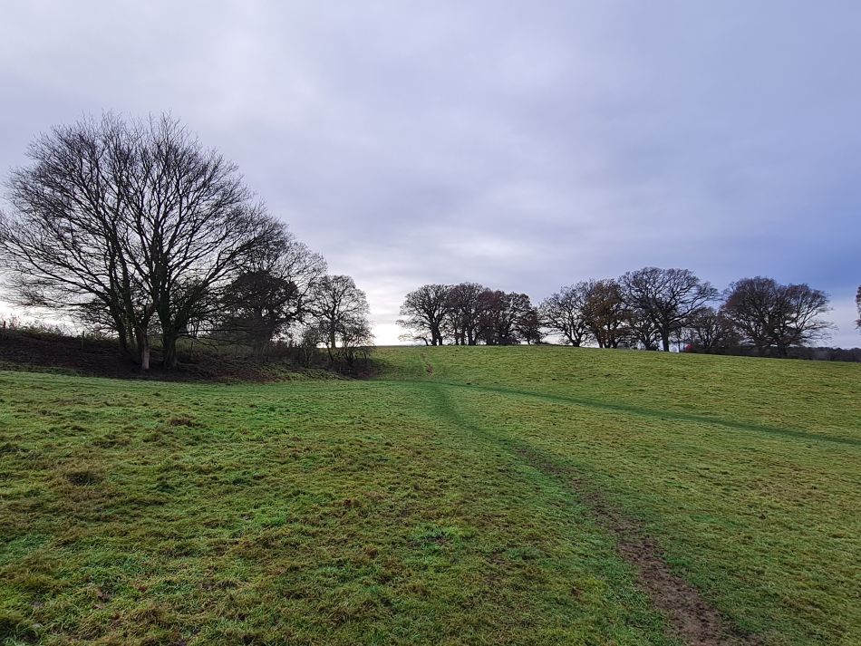 2023-12-14 05 Surlingham and Rockland.jpg