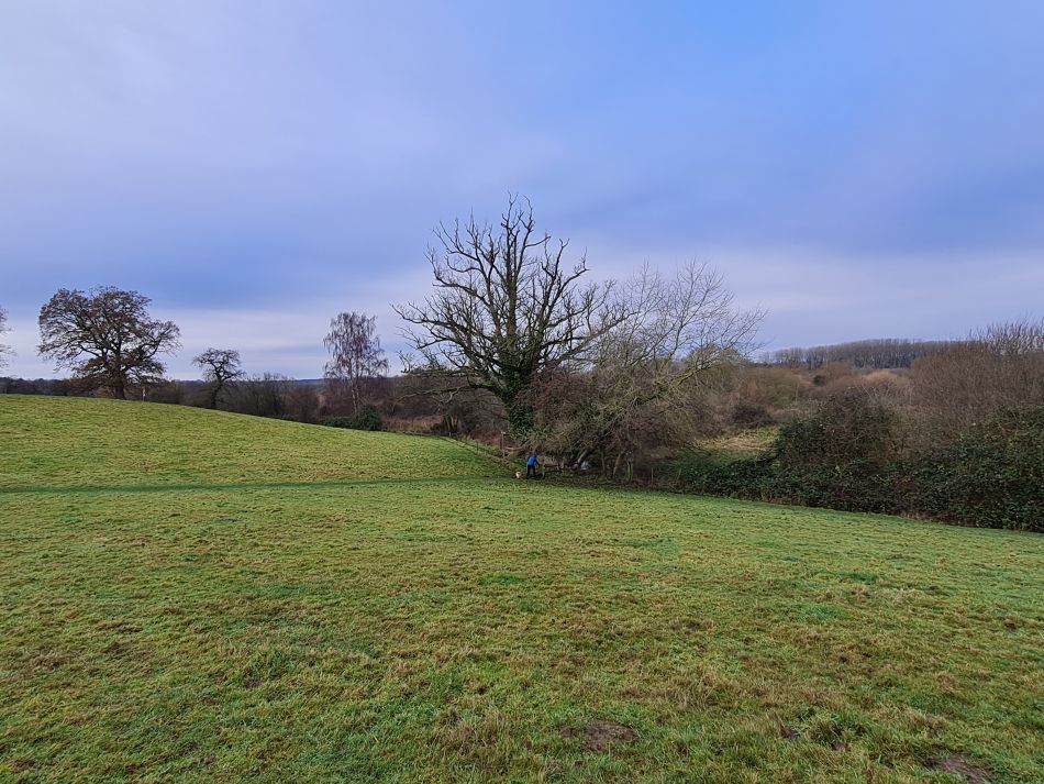 2023-12-14 06 Surlingham and Rockland.jpg