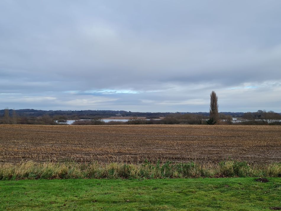 2023-12-14 13 Surlingham and Rockland.jpg