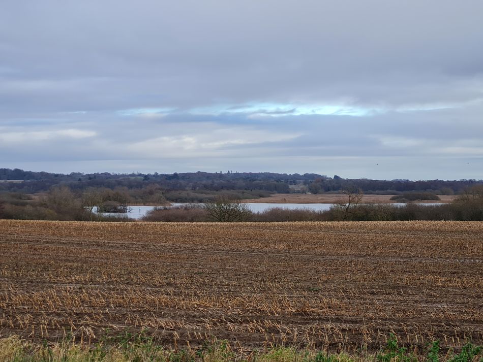 2023-12-14 14 Surlingham and Rockland.jpg