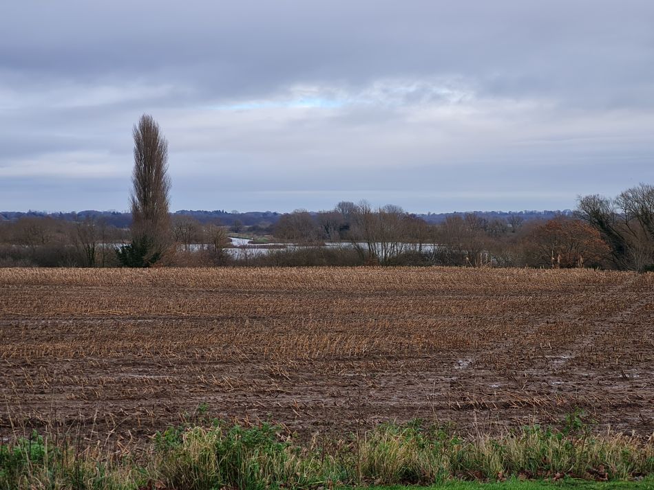 2023-12-14 15 Surlingham and Rockland.jpg