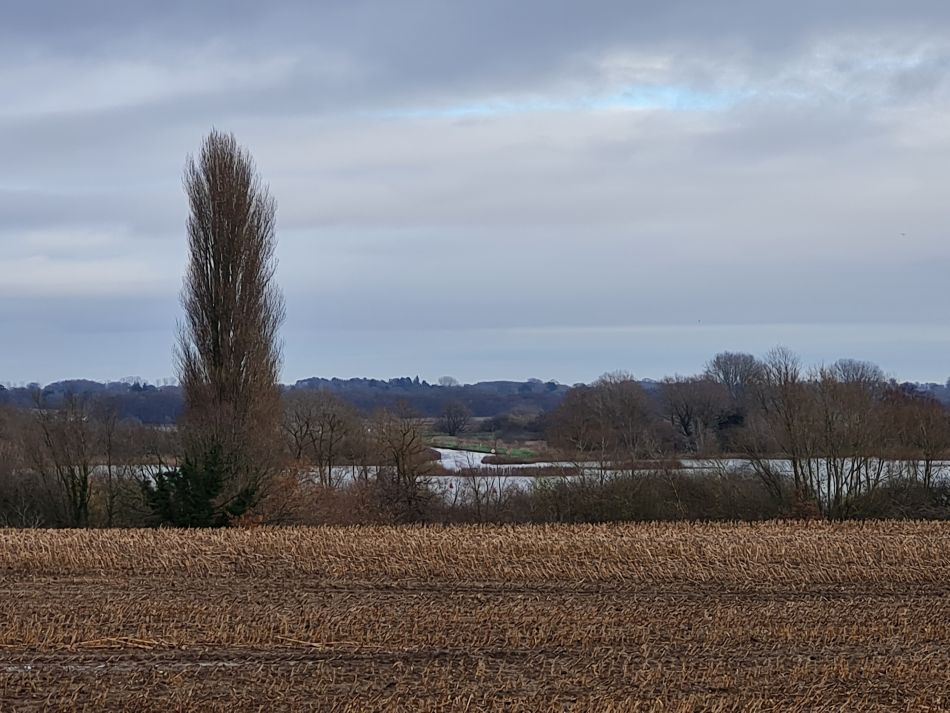 2023-12-14 16 Surlingham and Rockland.jpg