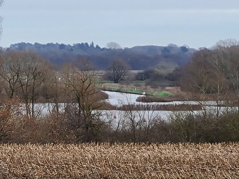 2023-12-14 17 Surlingham and Rockland.jpg