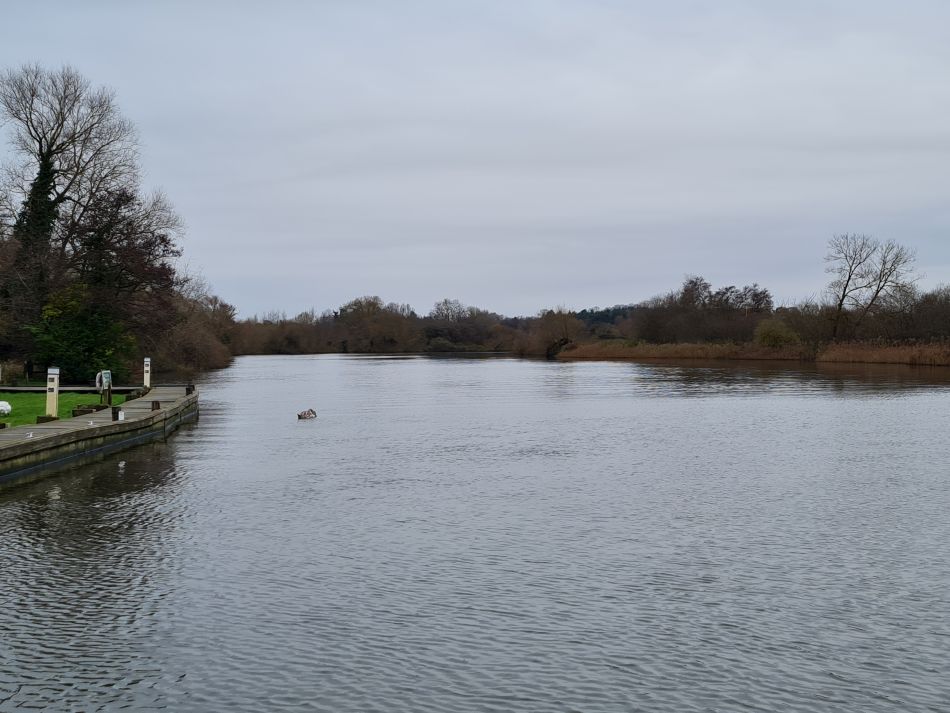 2023-12-14 28 Surlingham and Rockland.jpg