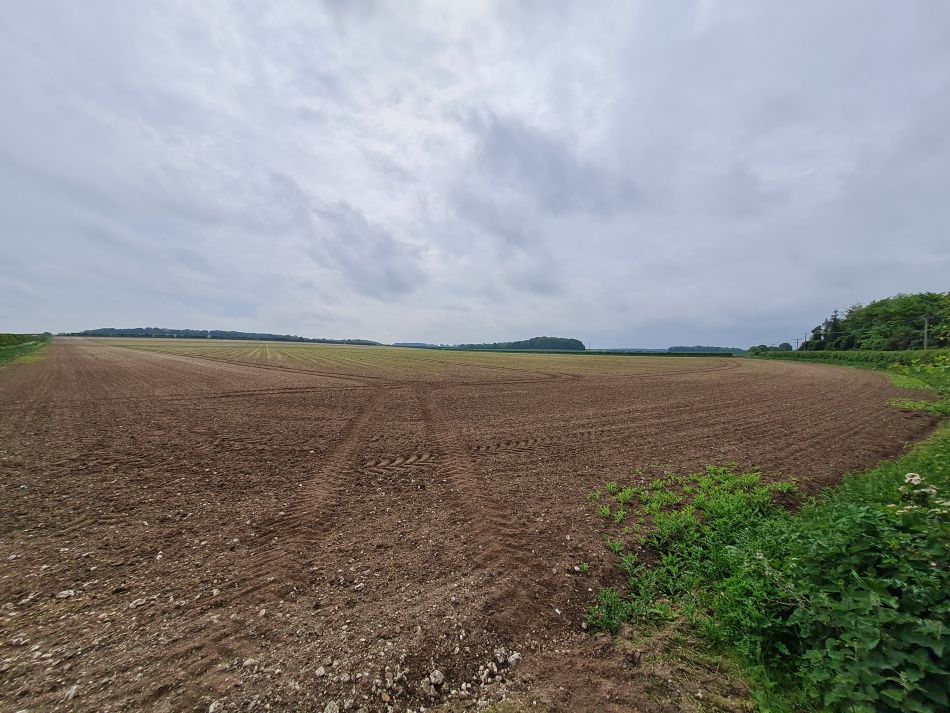 2024-05-14 08 Hillington Grimston Congham.jpg