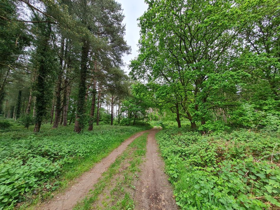 2024-05-14 09 Hillington Grimston Congham.jpg