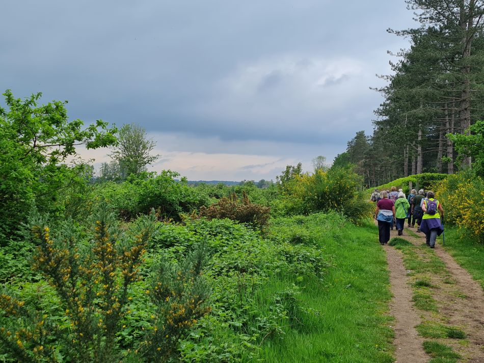 2024-05-14 12 Hillington Grimston Congham.jpg