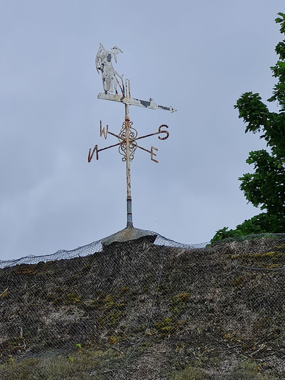 2024-05-14 22 Hillington Grimston Congham.jpg