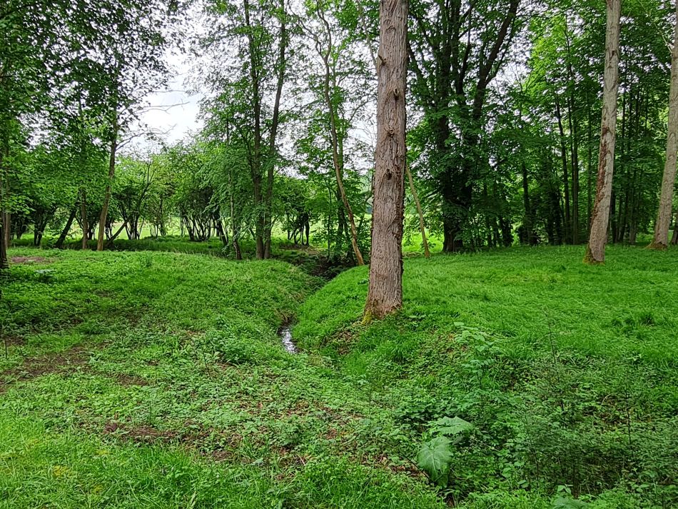 2024-05-14 29 Congham Lodge.jpg