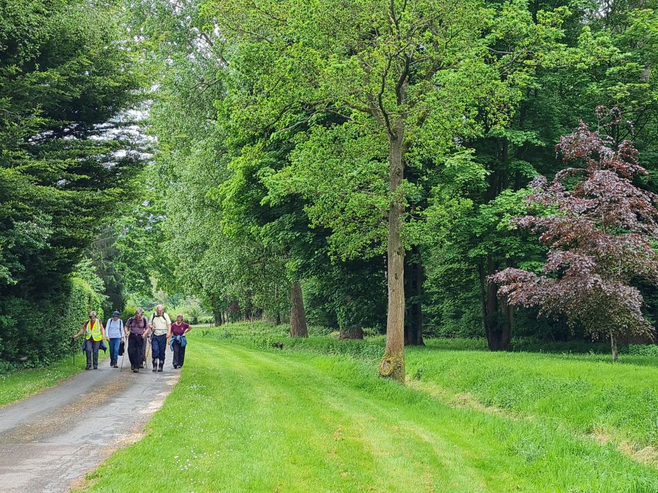 2024-05-14 33 Hillington Grimston Congham.jpg