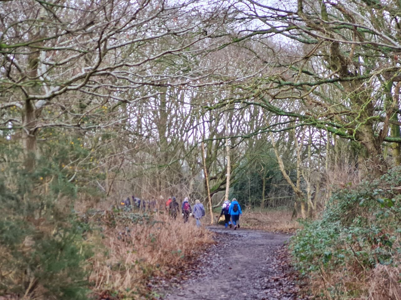 2025-02-12 10 Beccles Common and Town.jpg