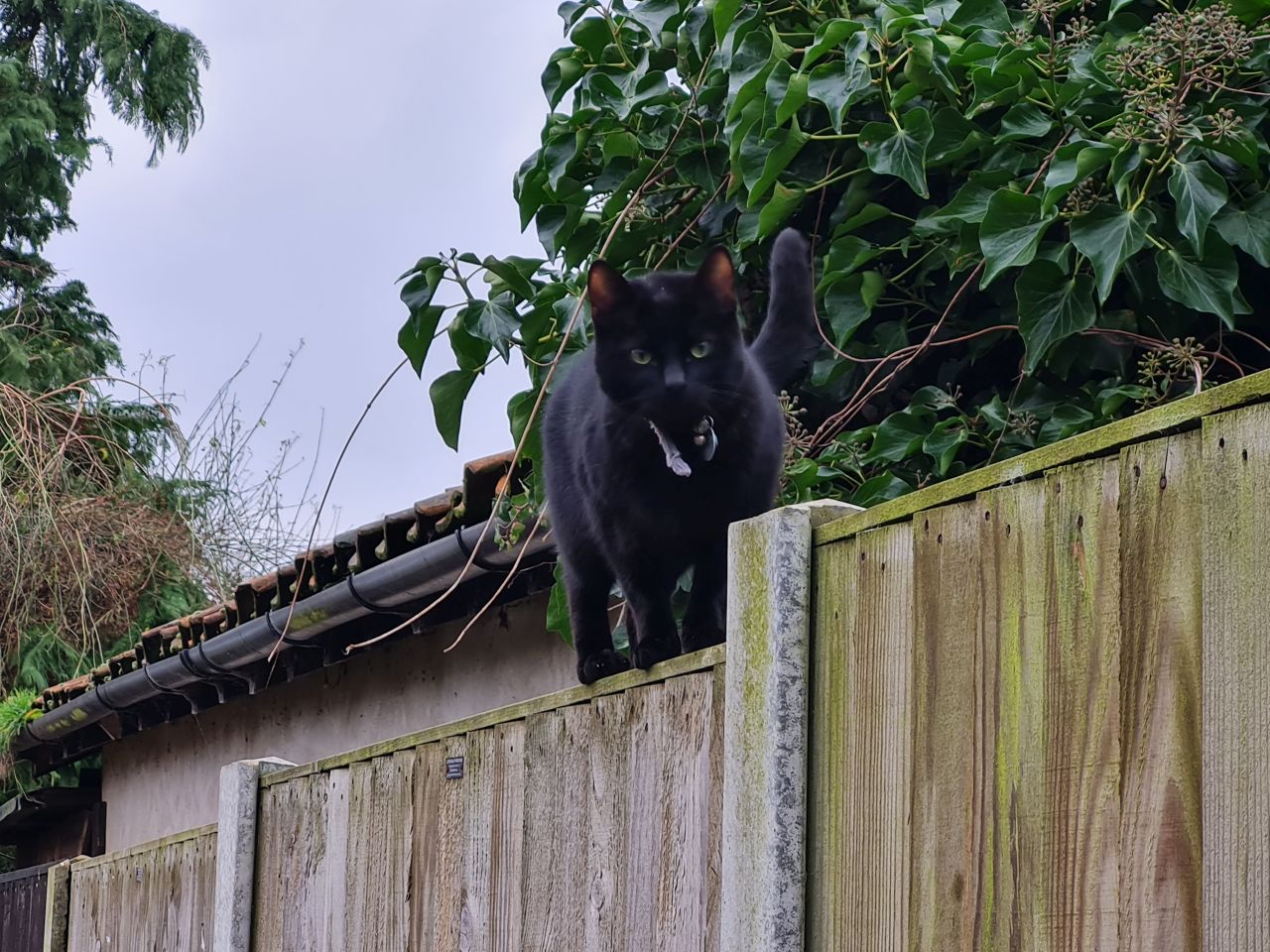 2025-02-12 34 Beccles Common and Town.jpg