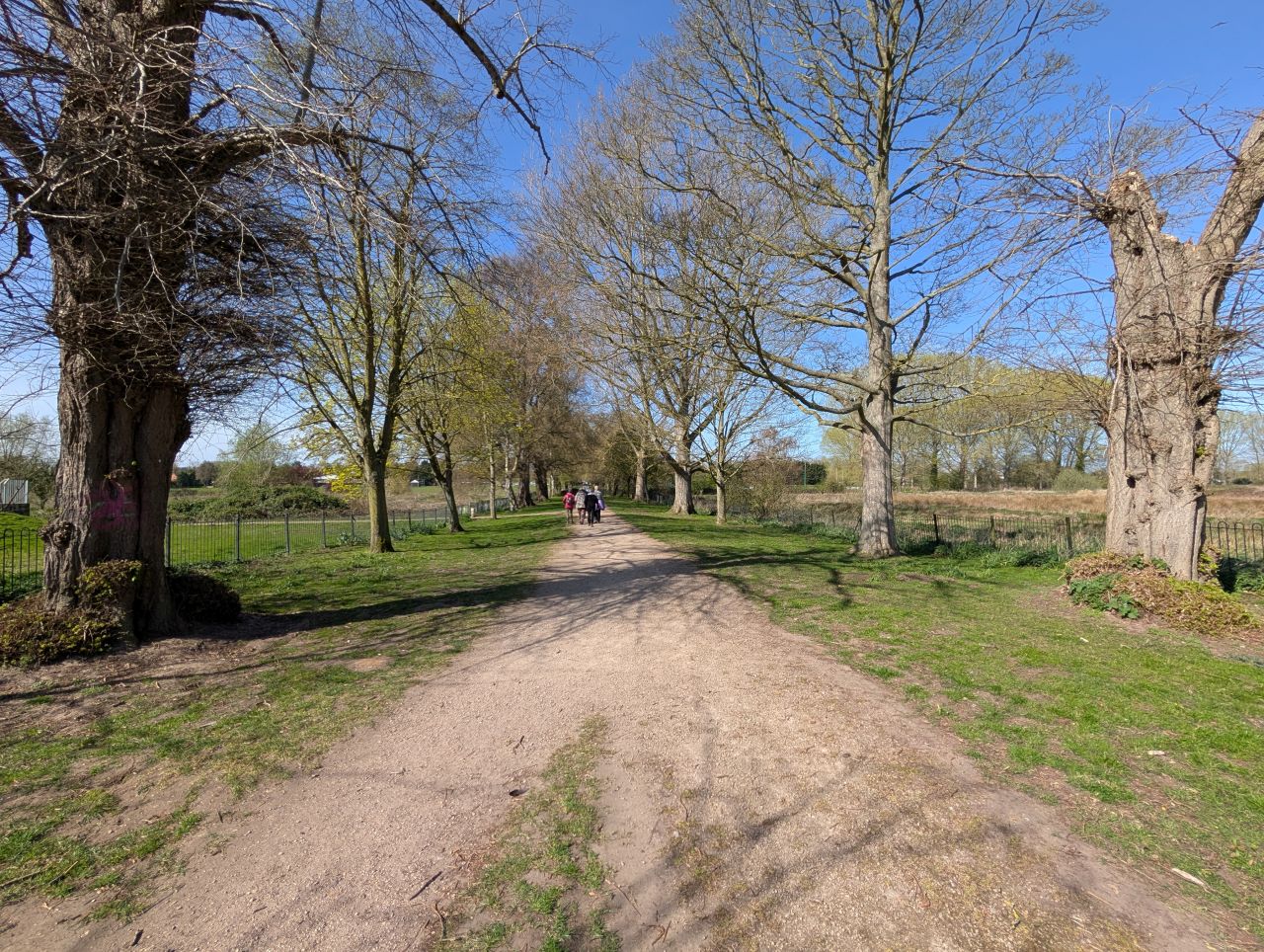 2026-04-10 02 Beccles River and Common.jpg