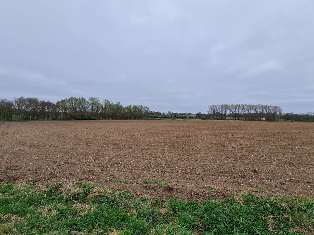 2025-04-09 02 Thurton and Bergh Apton.jpg