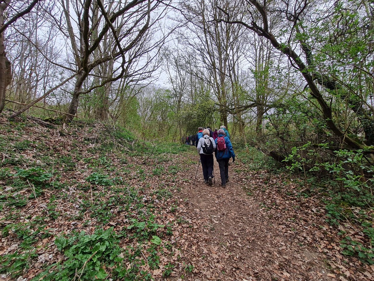 2025-04-09 06 Thurton and Bergh Apton.jpg