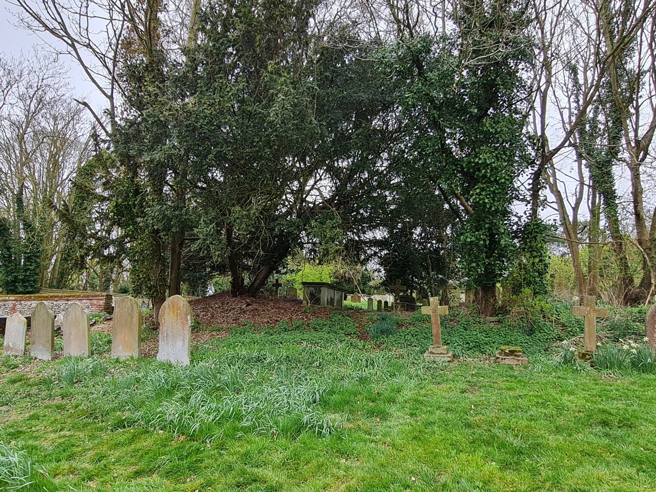 2025-04-09 08 Thurton and Bergh Apton.jpg