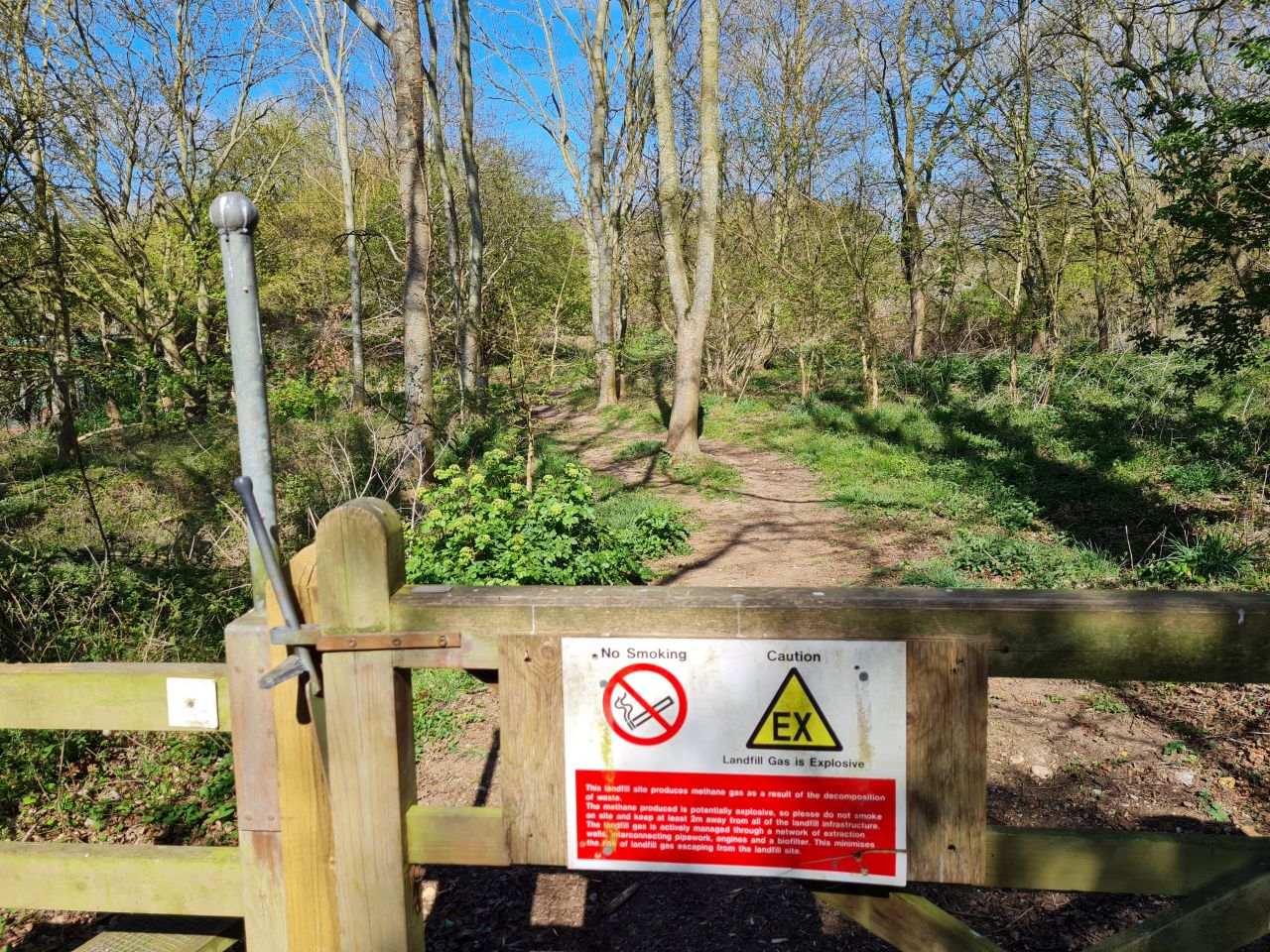 2025-04-10 03 Bergh Apton and Chet.jpg