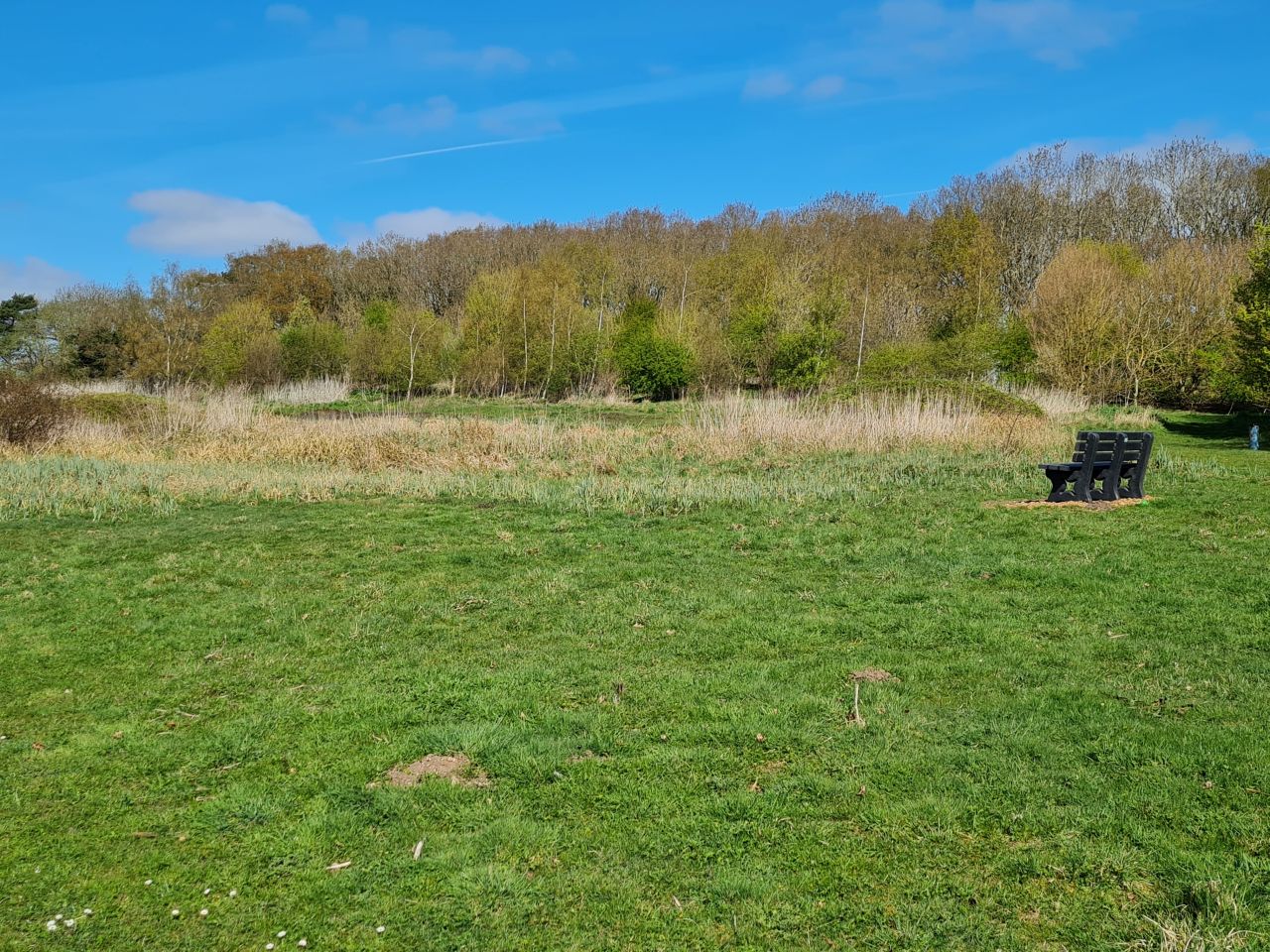 2025-04-10 04 Bergh Apton and Chet.jpg