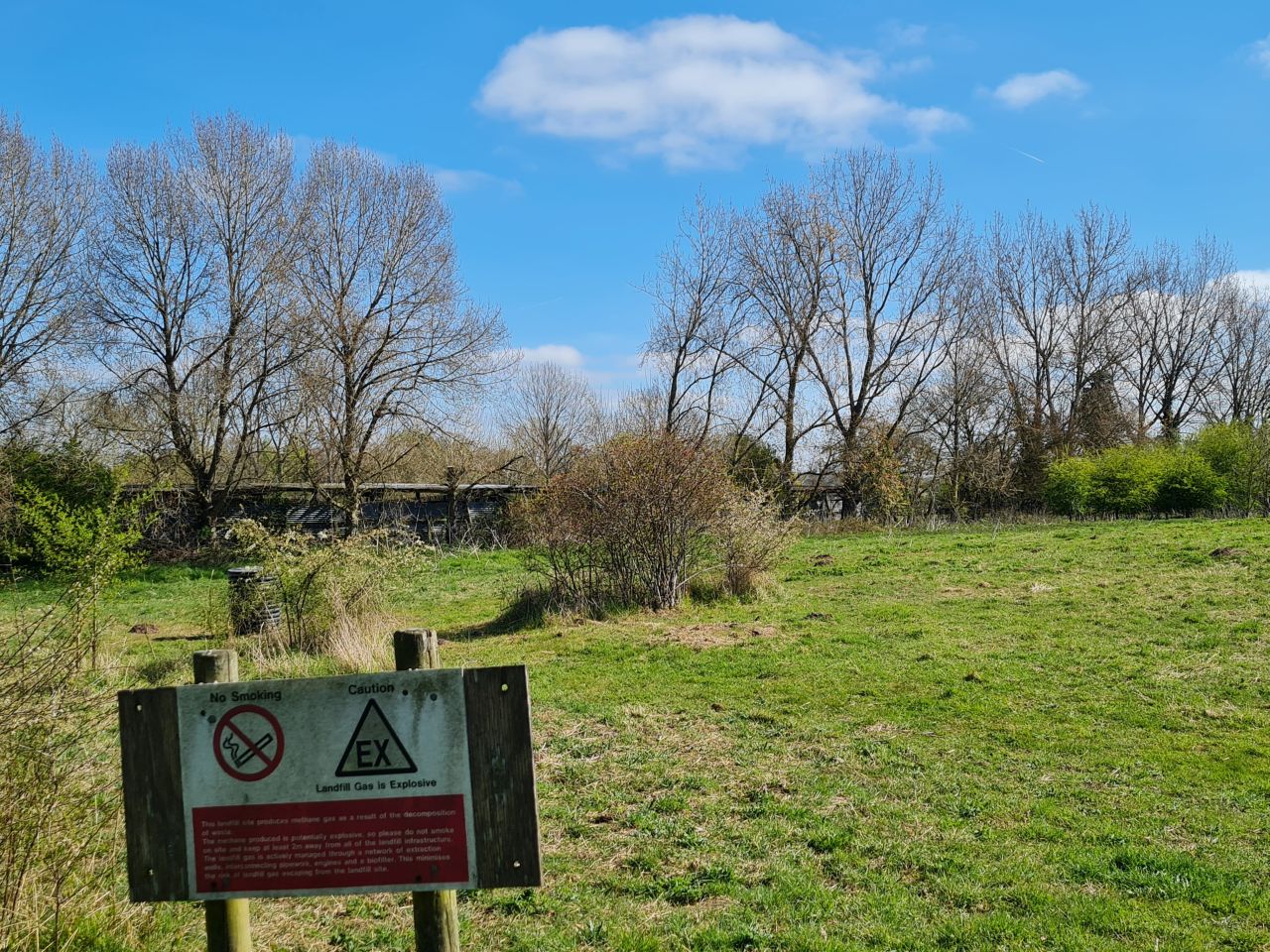 2025-04-10 05 Bergh Apton and Chet.jpg