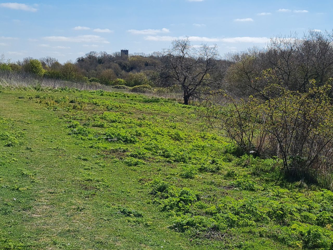 2025-04-10 11 Bergh Apton and Chet.jpg