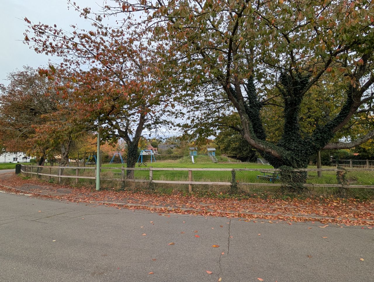 2025-10-18 06 Bus Walk - Harleston to Wortwell Station Farm.jpg