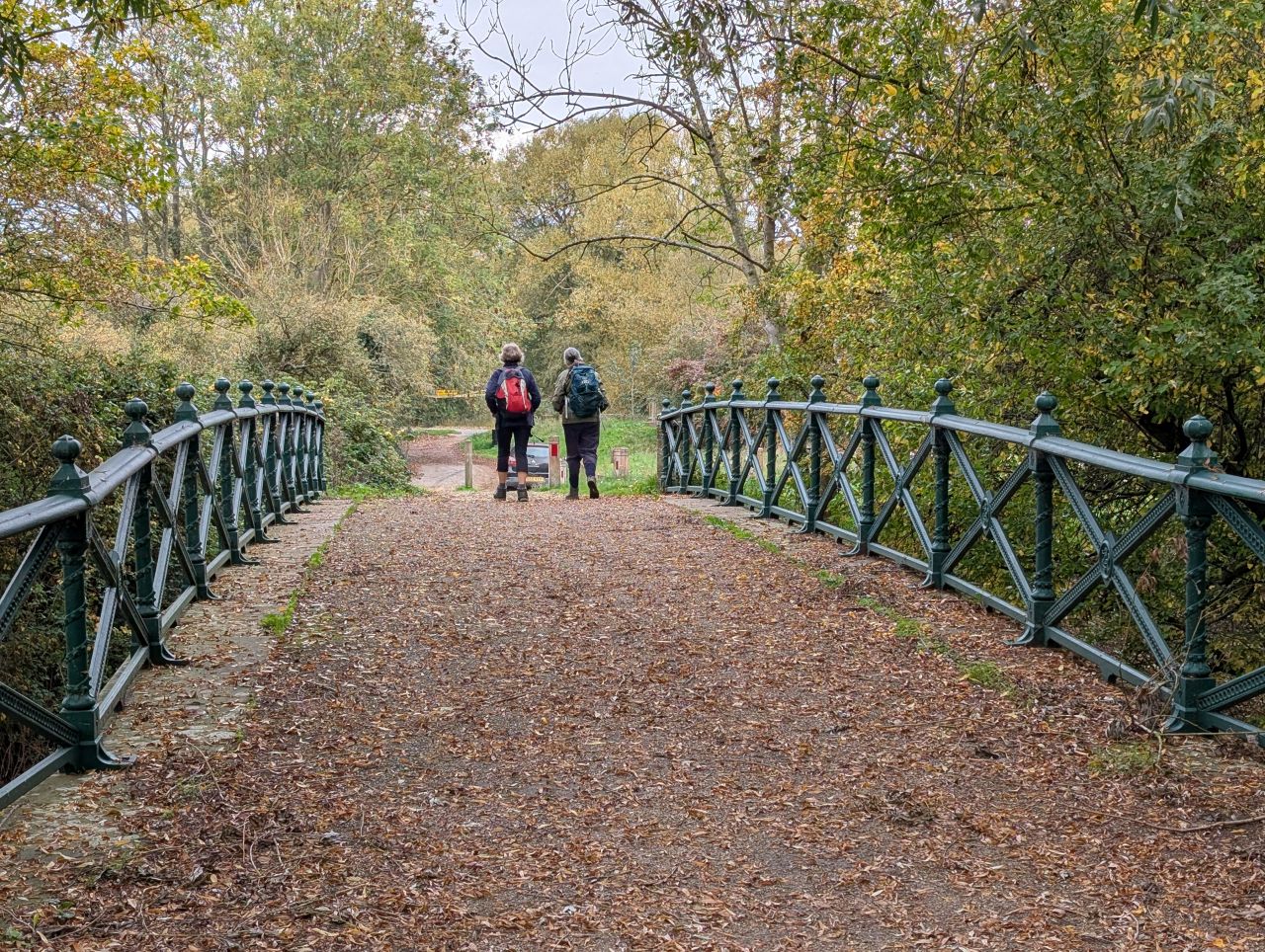 2025-10-18 16 Bus Walk - Harleston to Wortwell Station Farm.jpg