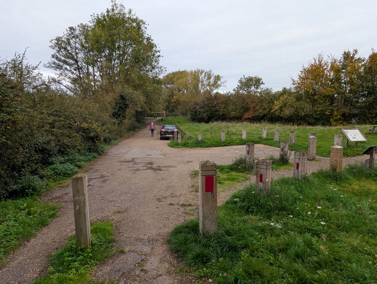 2025-10-18 20 Bus Walk - Harleston to Wortwell Station Farm.jpg