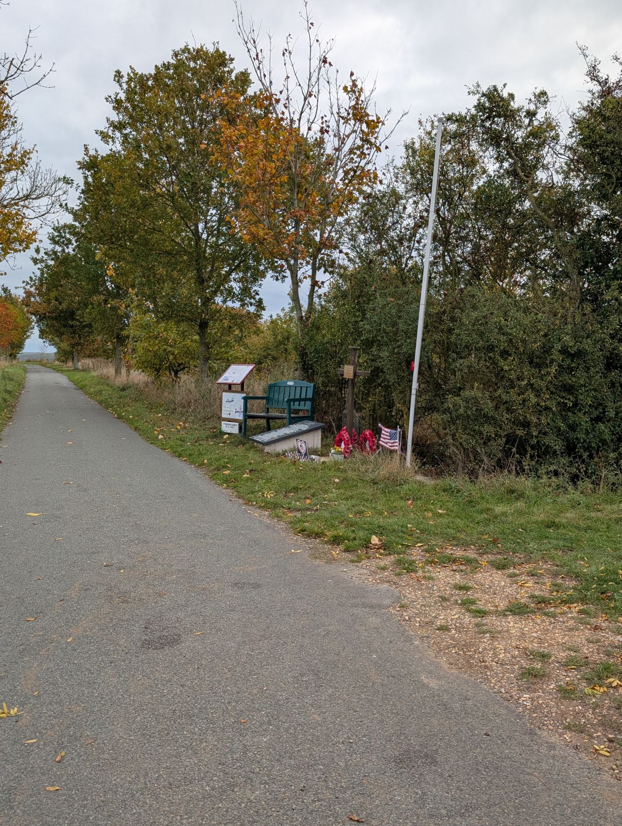 2025-10-18 26 Bus Walk - Harleston to Wortwell Station Farm.jpg