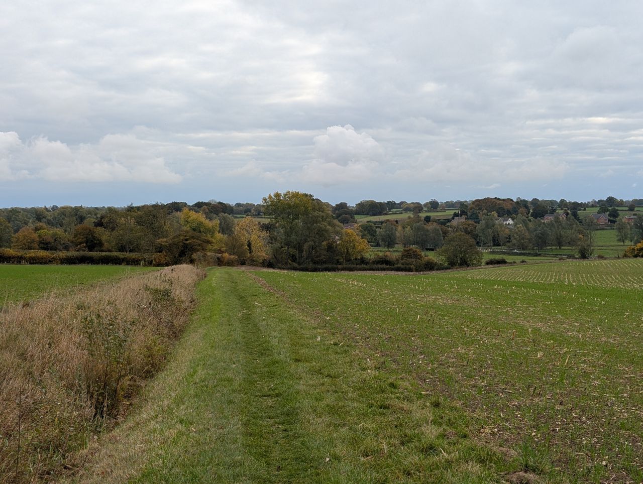2025-10-18 32 Bus Walk - Harleston to Wortwell Station Farm.jpg