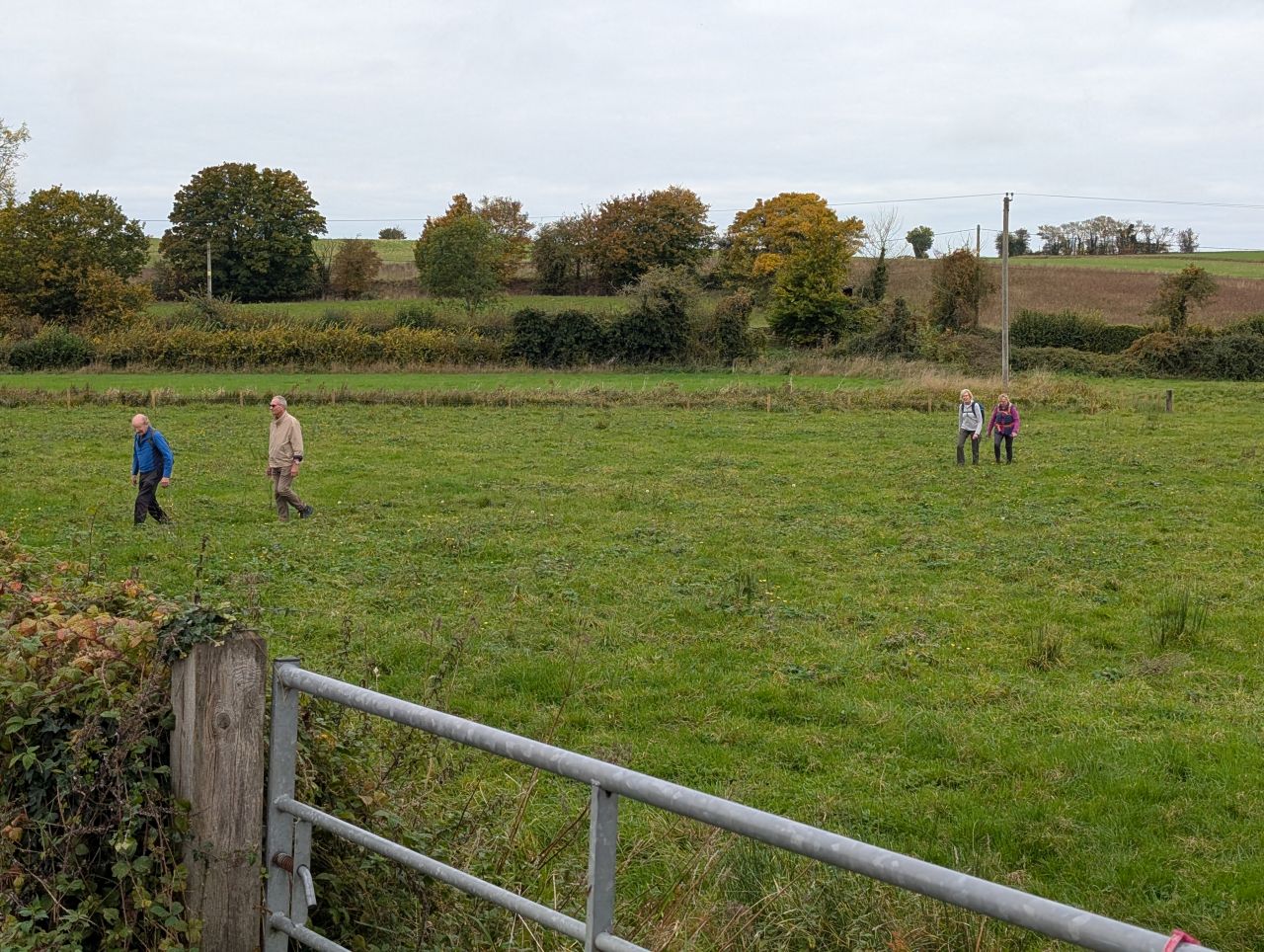 2025-10-18 34 Bus Walk - Harleston to Wortwell Station Farm.jpg