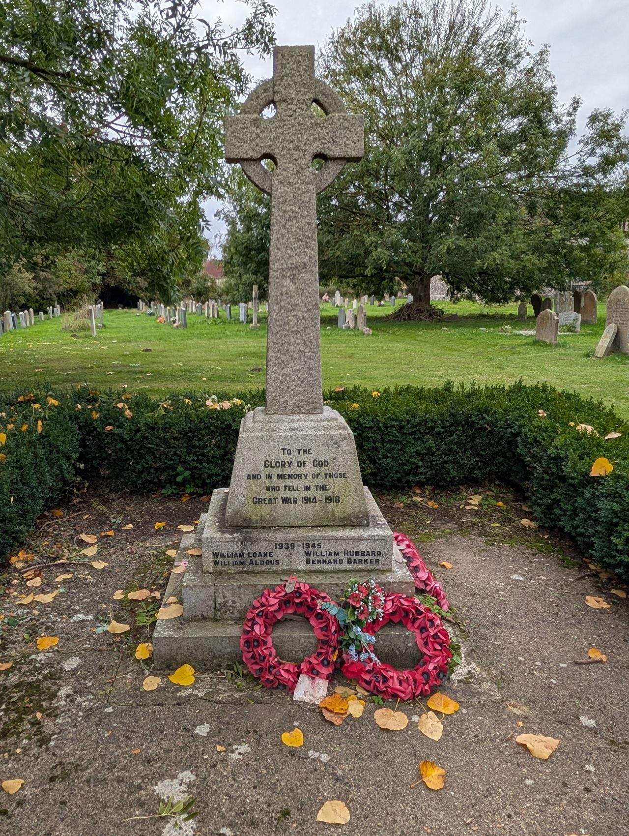 2025-10-18 54 Bus Walk - Harleston to Wortwell Station Farm.jpg