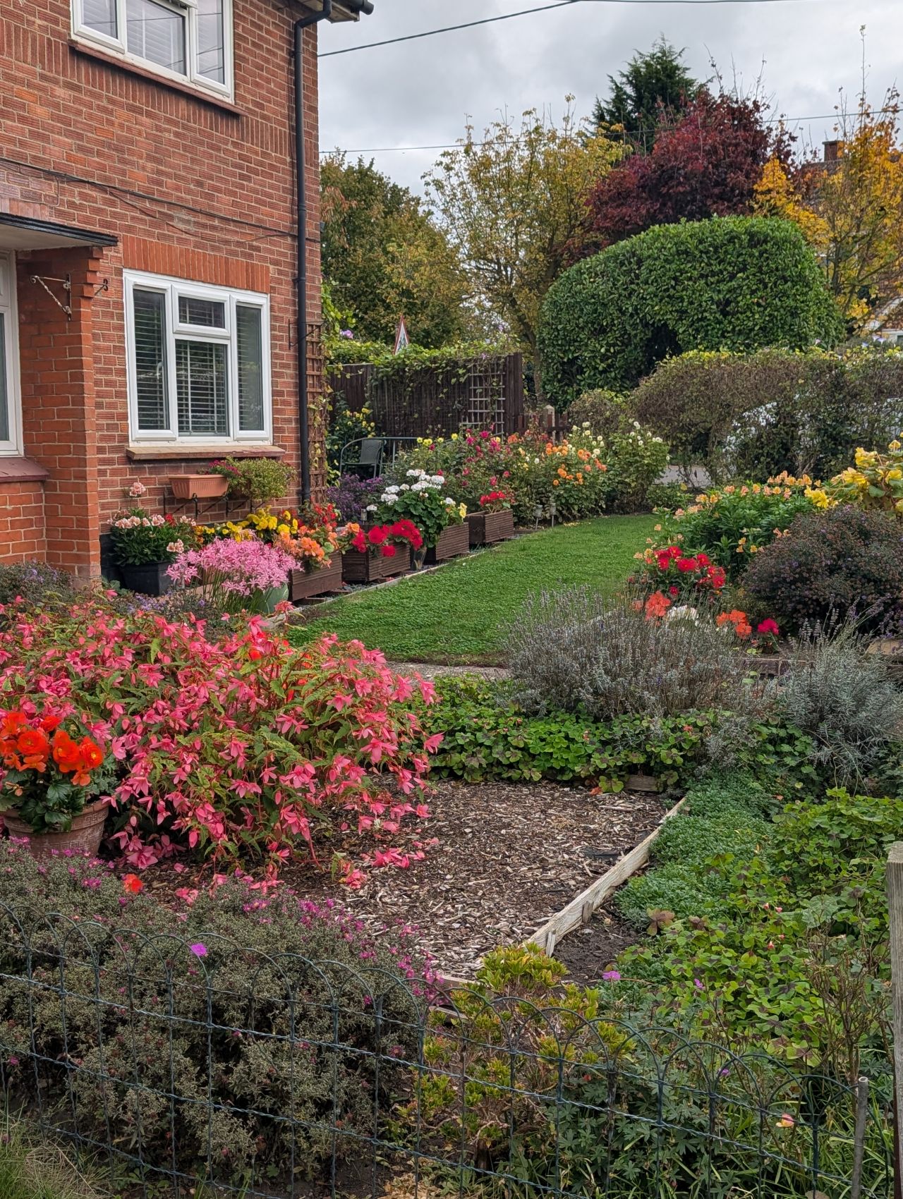 2025-10-18 60 Bus Walk - Harleston to Wortwell Station Farm.jpg