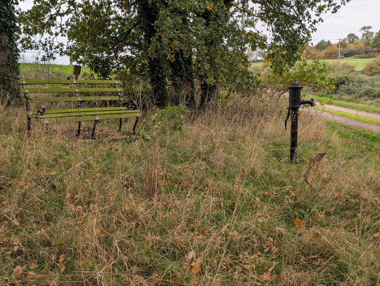 2025-10-18 61 Bus Walk - Harleston to Wortwell Station Farm.jpg