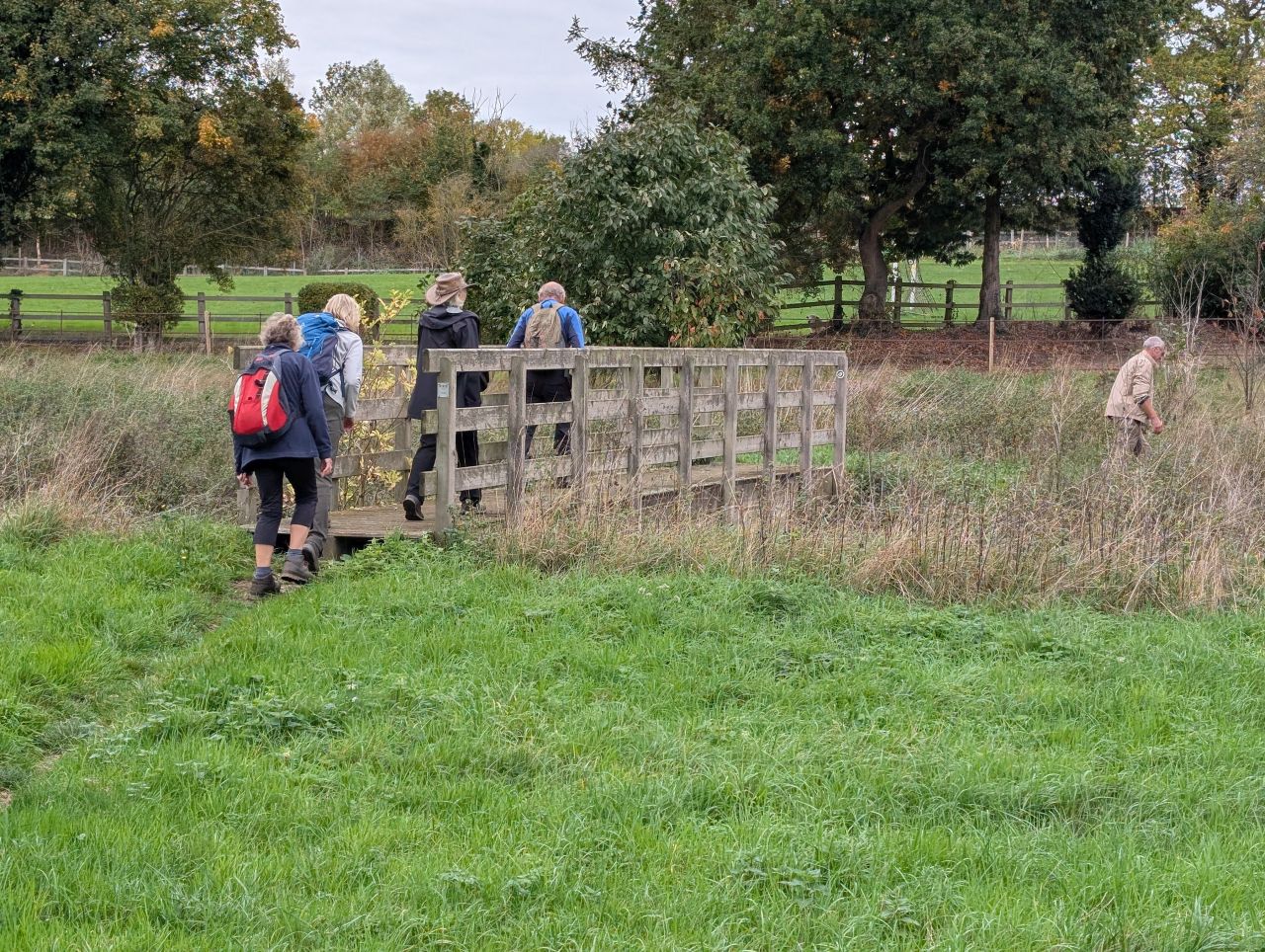 2025-10-18 64 Bus Walk - Harleston to Wortwell Station Farm.jpg