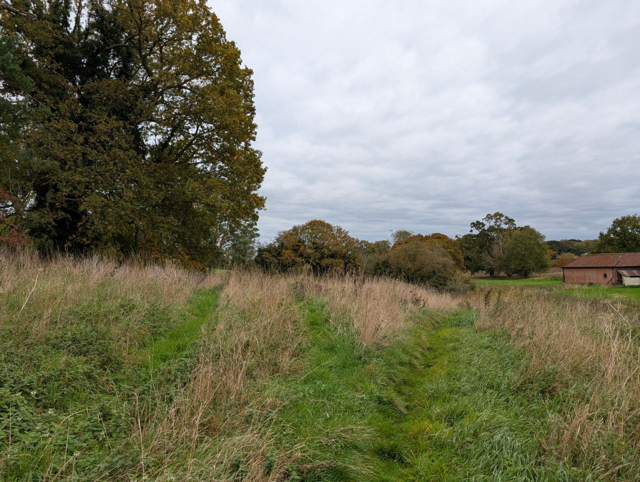 2025-10-18 65 Bus Walk - Harleston to Wortwell Station Farm.jpg
