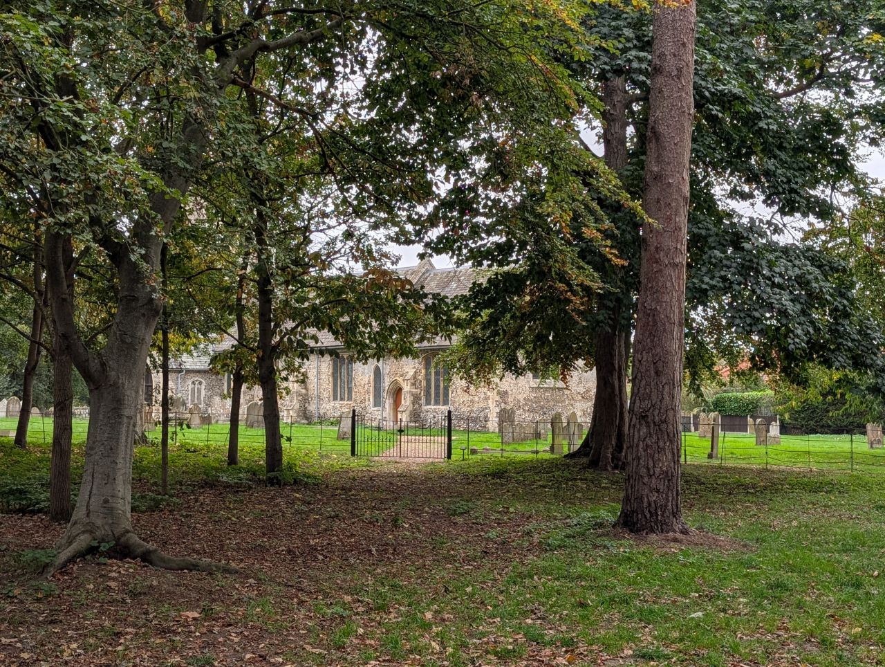 2025-10-18 80 Bus Walk - Harleston to Wortwell Station Farm.jpg