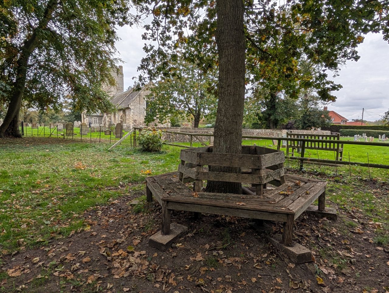 2025-10-18 81 Bus Walk - Harleston to Wortwell Station Farm.jpg