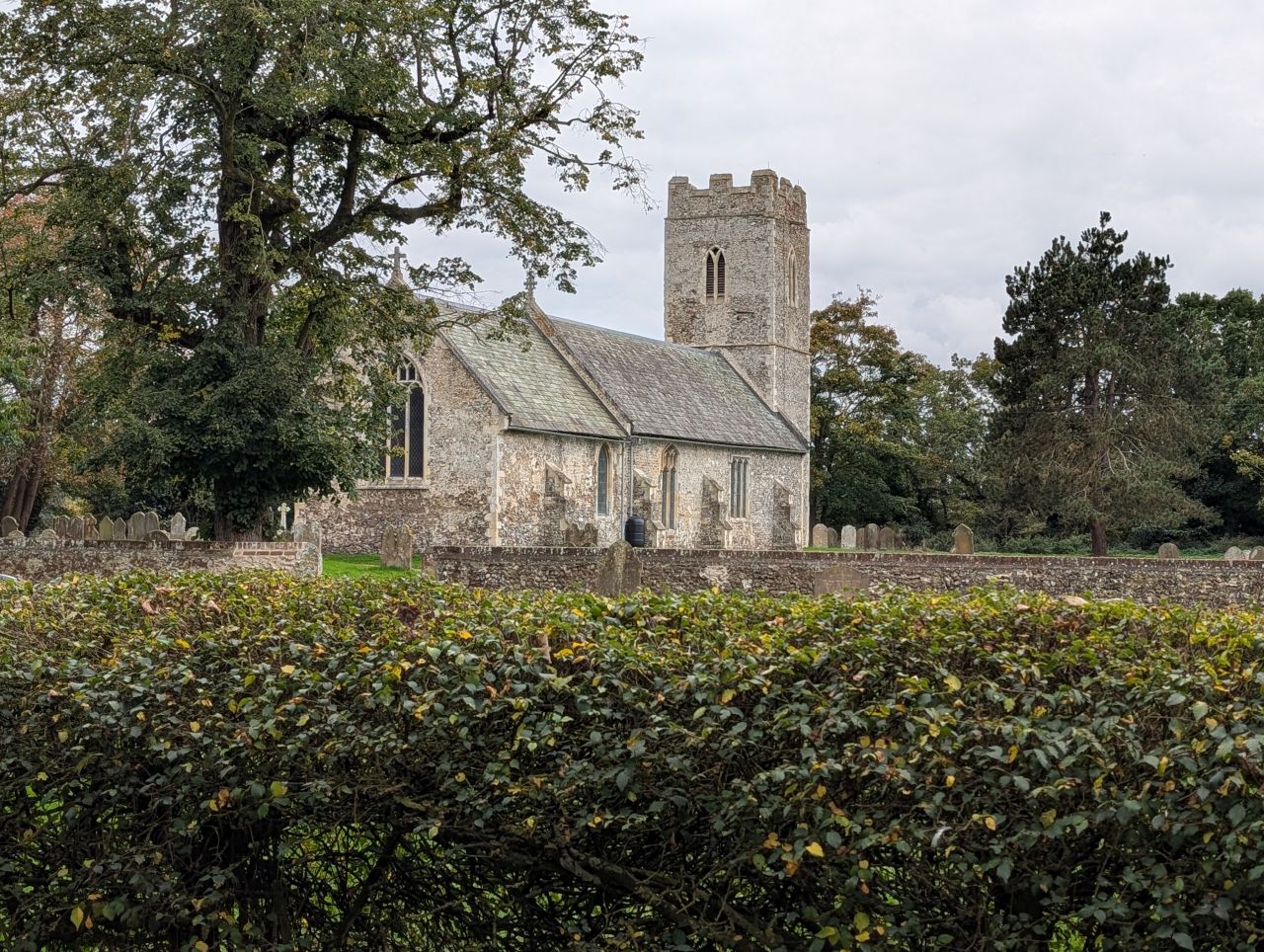 2025-10-18 82 Bus Walk - Harleston to Wortwell Station Farm.jpg